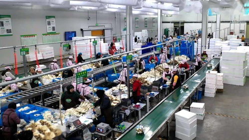 臨洮 堅(jiān)持問(wèn)題導(dǎo)向精準(zhǔn)施策追趕發(fā)展